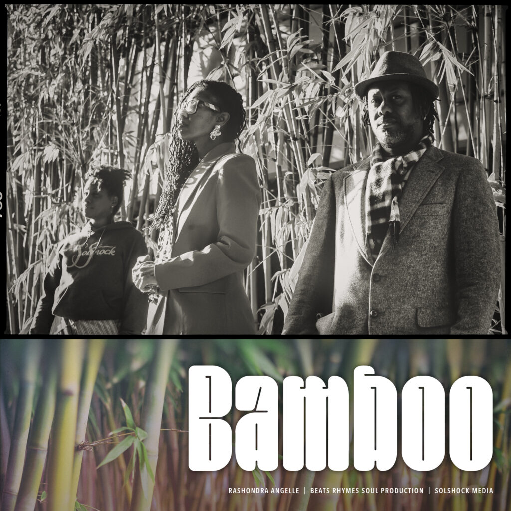 Bamboo backdrop album cover art for house music collaboration