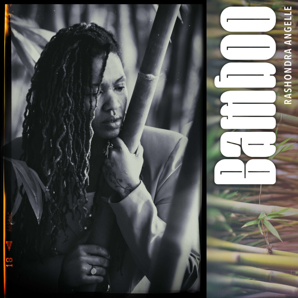 Cover art for song "Bamboo" performed by Rashondra Angelle